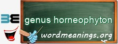 WordMeaning blackboard for genus horneophyton